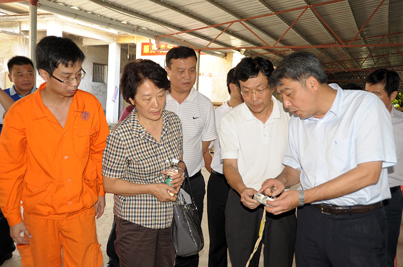 ��ʡ����������ʡ���ʾ��Ƹ����ɽ��������_ �㶫����